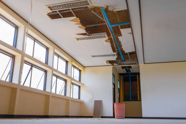 Best Carpet water damage restoration  in Sawyerwood, OH