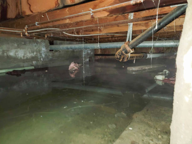 Best Residential water damage restoration  in Sawyerwood, OH