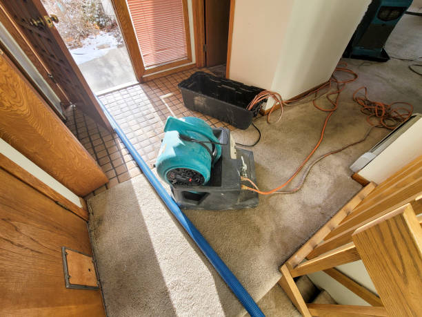 Best Water damage restoration near me  in Sawyerwood, OH