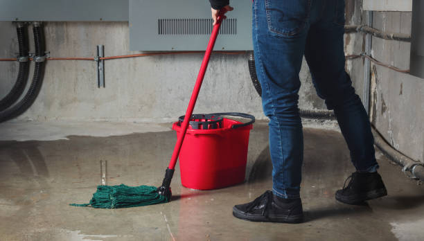 Best Flooded house restoration  in Sawyerwood, OH