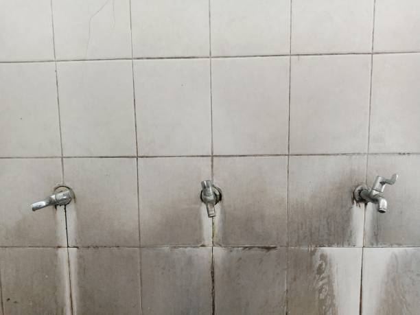 Best Water damage restoration near me  in Sawyerwood, OH