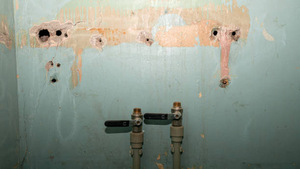 Best Emergency water damage restoration  in Sawyerwood, OH