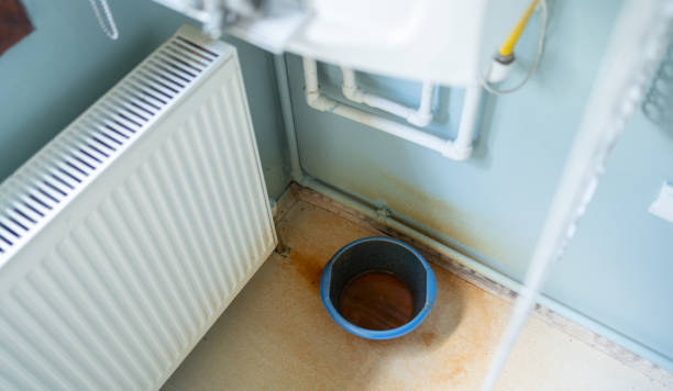 Best Ceiling water damage repair  in Sawyerwood, OH