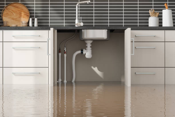 Carpet water damage restoration in Sawyerwood, OH