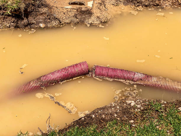 Best Water damage cleanup near me  in Sawyerwood, OH