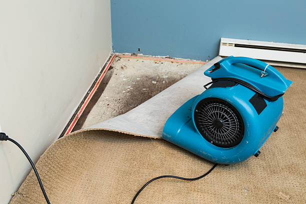 Best Flooded house restoration  in Sawyerwood, OH